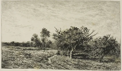 Manzanos en Auvers