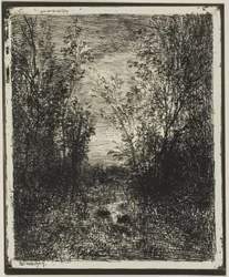Arroyo en el claro