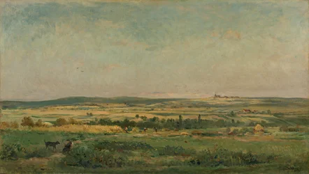 cosecha de granos