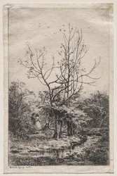 El huerto