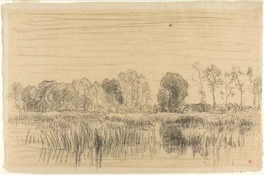 Pantano y pantalla de árboles