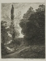 Las orillas del Cousin