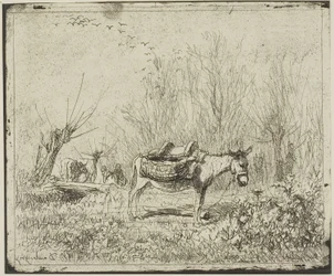 El burro en el prado