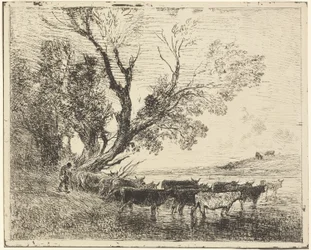 El Vado