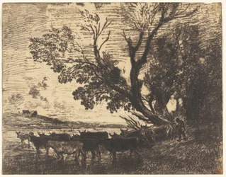 El Vado