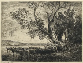 El Vado