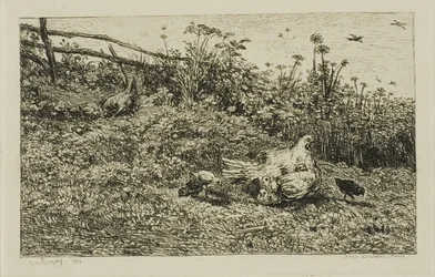 La gallina y sus pollitos