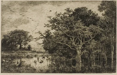 El pantano con cigüeñas