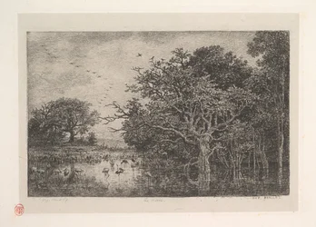Los pantanos, 1851