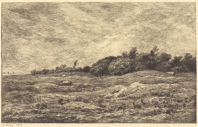 El prado en Grave, cerca de Villerville