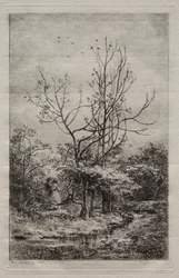 El huerto