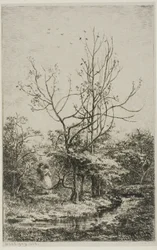 El huerto