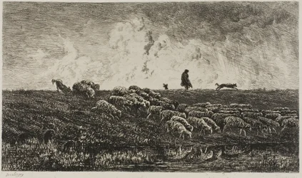 La Lluvia