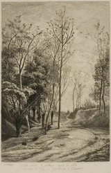 Los Pajaritos