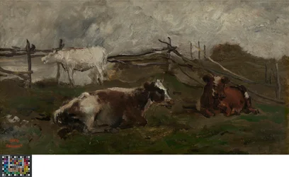 Vacas en un prado