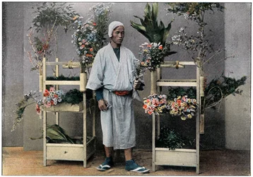 Mercader de flores en Japón