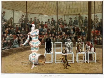Los perros sabios: escena de circo con payaso y perros - después de Charles Green, cromo inglés 1885