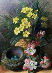 Flores de manzano y prímulas. Naturaleza muerta con un nido y flores. Pintura de Charles Henry Slater (1820-1890) Colección particular