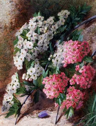 Flores. Pintura de Charles Henry Slater (1820-1890) Colección particular