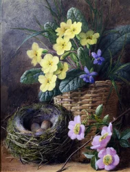 Bodegón de prímulas, violetas y rosas. Naturaleza muerta con nido, huevos y flores. Pintura de Charles Henry Slater (1820-1890) Colección particular