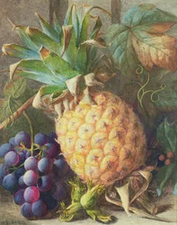Naturaleza muerta de una piña y uvas