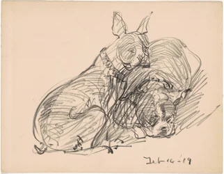 Dos perros