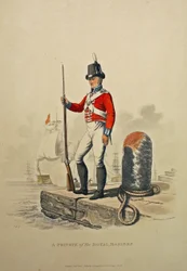 Un soldado de los marines reales, grabado por Joseph Constantine Stadler, publicado en 1815