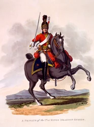 Uniforme de soldado raso de los Dragones del Rey, grabado por Joseph Constantine Stadler, 1812-15