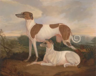 Dos galgos en un paisaje