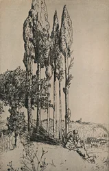 Árboles de ciprés cerca de Siena, 1903