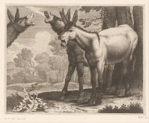 Burros balbuceantes
Serie de animales (título de la serie)