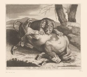 Pelea entre pantera y caballo Combat d