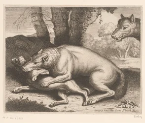 Perro atacado por un lobo Serie de animales (título de la serie)