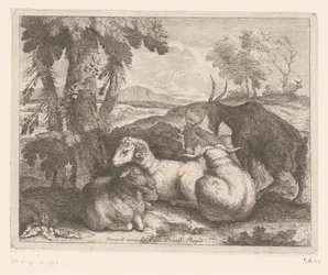 Ovejas y cabras debajo de un árbol Serie de animales (título de la serie)