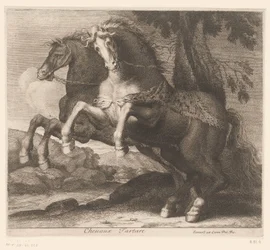 criando caballos Chevaux Tartare (título sobre el objeto) Serie de animales (título de la serie)