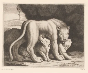 leona lactante Serie de animales (título de la serie)
