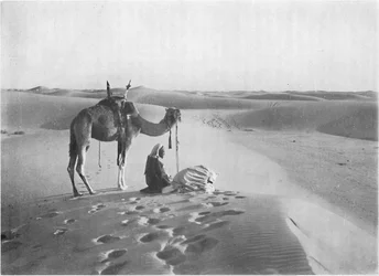 La oración del atardecer en el desierto
