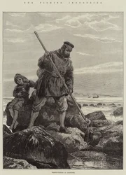 Nuestras industrias pesqueras, pesca de camarones en Hastings