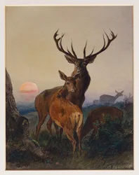 Un ciervo con venados en un paisaje boscoso al atardecer, 1865