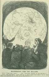 Microscopía para las masas: 1878 (grabado)