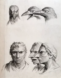 Perfiles de pájaro y hombre-pájaro - en 