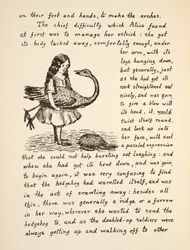 Alicia sosteniendo su avestruz, ilustración de Las aventuras bajo tierra de Alicia, pub. 1886 (facsímil)