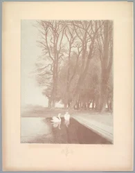 Suite de Paisajes: Paisaje, Placa 6, Remarque, Lirios, 1892-1893