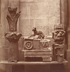 El gato momificado encontrado en las excavaciones de Saint-Germain-en-Laye, ca. 1862