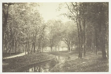Sin título, c. 1850. [Árboles cerca del agua en el Bois de Boulogne, un parque en París]