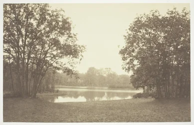 Sin título, c. 1850. [Árboles cerca del agua en el Bois de Boulogne, un parque en París]