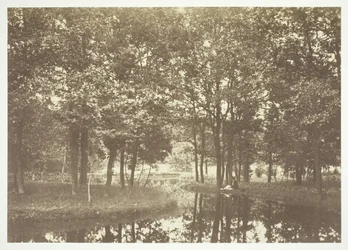 Sin título, c. 1850. [Árboles cerca del agua en el Bois de Boulogne, un parque en París]