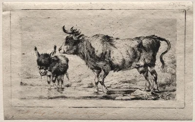 Vaca y Asno