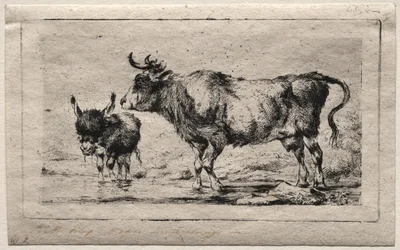 Vaca y asno, 1849