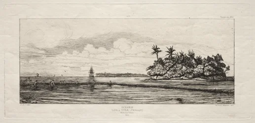 Oceanía: Pesca cerca de Islas con Palmas en el Grupo Uea o Wallis, 1845